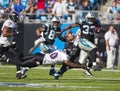 NFL: Nov 21 Baltimore Ravens Vs Carolina Panthers Royalty Free Stock Photo