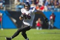 NFL: Nov 21 Baltimore Ravens Vs Carolina Panthers Royalty Free Stock Photo