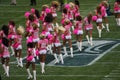 NFL supporting Breast Cancer Royalty Free Stock Photo