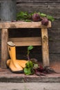 Fresh beetroot root with leaves in rubber boots. rural still life Royalty Free Stock Photo