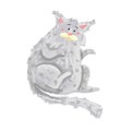 gray cat lies on the back Royalty Free Stock Photo