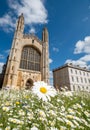 Ng`s College Chapel at Cambridge University UK, with wild flower meadow full of chamomile daisies and cornflowers in foreground. Royalty Free Stock Photo