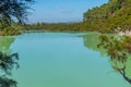 Ngakoro lake at Wai-O-Tapu in New Zealand Royalty Free Stock Photo