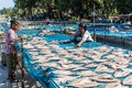 Ngapali Beach fish drying Myanmar