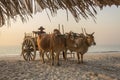 Ngapali Beach - Rakhine State - Myanmar (Burma)