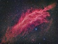 NGC 1499 California Nebula Royalty Free Stock Photo