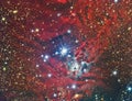 NGC 2264 Christmas Tree Cluster and Nebula Royalty Free Stock Photo