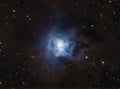 NGC7023 Iris Nebula Royalty Free Stock Photo