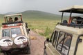 Crowd of safari vehicles gather around a pride of lions resting in the middle of the