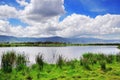 Ngorongoro, Tanzania, Africa Royalty Free Stock Photo