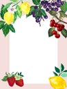 ngredients Fruit Citrus Berry ripe garden countryside birtday party watercolor illustration