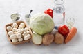 ngredients for vegetable stew: cabbage, mushrooms, potatoes, onions, carrots, tomatoes, salt, vegetable oil, spices and Royalty Free Stock Photo