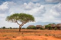 Ngutuni Safari lodge. Beautiful african landscape. Lone tree in Kenya. Ngutuni National Park