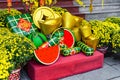 Nha Trang, Vietnam - 13 January 2023 decoration and chrysanthemums flowers as symbol of wealth for Tet Lunar New Year