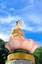 Nha Trang, Vietnam - 16 September 2022: Buddha Statue Chua Da Bao pagoda