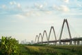 Nhat Tan bridge viewing from wild land on Red River riverbed Royalty Free Stock Photo