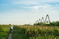 Nhat Tan bridge viewing from wild land on Red River riverbed Royalty Free Stock Photo