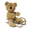 Nhi Bear on the sledge.