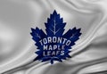 NHL club flag