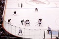 NHL Hockey - Edmonton Oilers & Phoenix Coyotes Royalty Free Stock Photo
