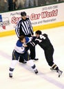 NHL Hockey Game Fight