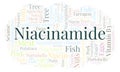 Niacinamide word cloud.