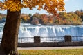 Niagara Falls City Fallsview Trail. Red maple leaf during autumn foliage. American Falls in the background Royalty Free Stock Photo