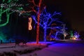 Niagara Falls Dufferin Light Festival Trees