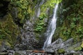 Niagara Falls in Goldstream Provincial Park on Vancouver Island Royalty Free Stock Photo