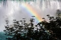 Niagara Falls and Rainbow Royalty Free Stock Photo
