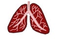 Lungs