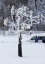 Niagara Falls in the winter - frozen tree Royalty Free Stock Photo