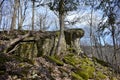 Mini cliff at Niagara Glen, natural rock formation Royalty Free Stock Photo