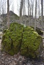 Rock Brain passage at Niagara Glen, natural rock formation Royalty Free Stock Photo