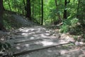 The Niagara Gorge Trail Walk