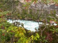 Niagara River flowing through gorge with rapids Royalty Free Stock Photo