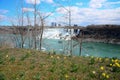 The Niagara River and horseshoe falls and wild flower Royalty Free Stock Photo