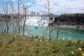 The Niagara River and horseshoe falls and wild flower Royalty Free Stock Photo
