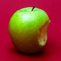 Nibbled wet green apple against red background 1