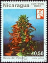 NICARAGUA - CIRCA 1982: A stamp printed in Nicaragua Mexican Cardinal Flower Lobelia laxiflora, circa 1982.