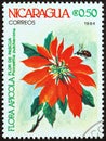 NICARAGUA - CIRCA 1984: A stamp printed in Nicaragua shows Poinsettia pulcherrima, circa 1984.