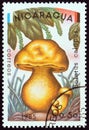 NICARAGUA - CIRCA 1985: A stamp printed in Nicaragua shows Boletus calopus, circa 1985. Royalty Free Stock Photo