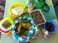 Nicaragua food feast