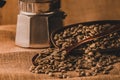 Nicaragua Shg Ep Arabica Raw Coffee Bean. Green coffee Royalty Free Stock Photo