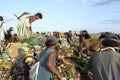 Nicaraguan workers, garbage dump, Managua Royalty Free Stock Photo