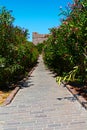 Nice Alleway in sardinia sea