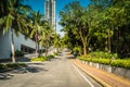 Nice asfalt road with palm trees against the blue sky and cloud.