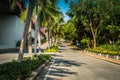 Nice asfalt road with palm trees against the blue sky and cloud. Royalty Free Stock Photo