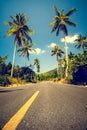 Nice asfalt road with palm trees Royalty Free Stock Photo