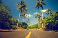 Nice asfalt road with palm trees Royalty Free Stock Photo